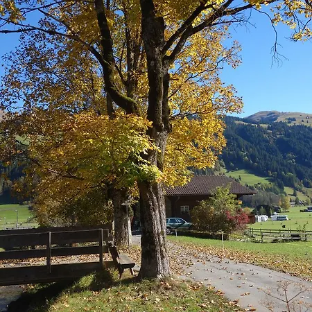 Apartment Haus Roserta Lenk